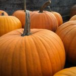 青柠在线观看视频在线 4rt59ue5om