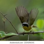 亚洲一级特黄大片在线播放 5cbdx4x